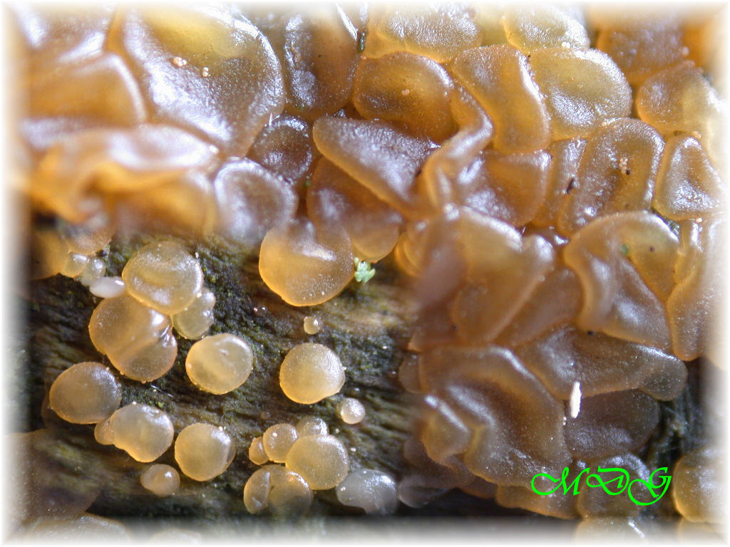 In mancanza di .... QUIZ